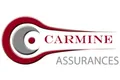 Logo Carmine
